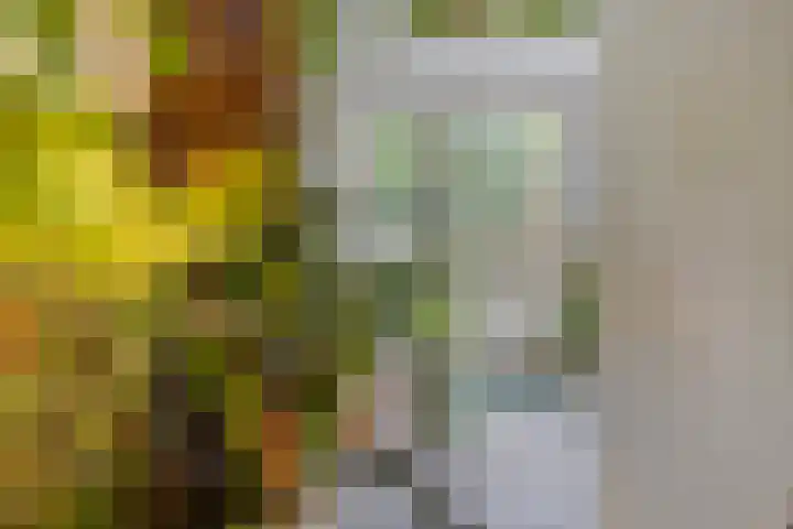 Het Klooster 3 Angerlo thumbnail 14