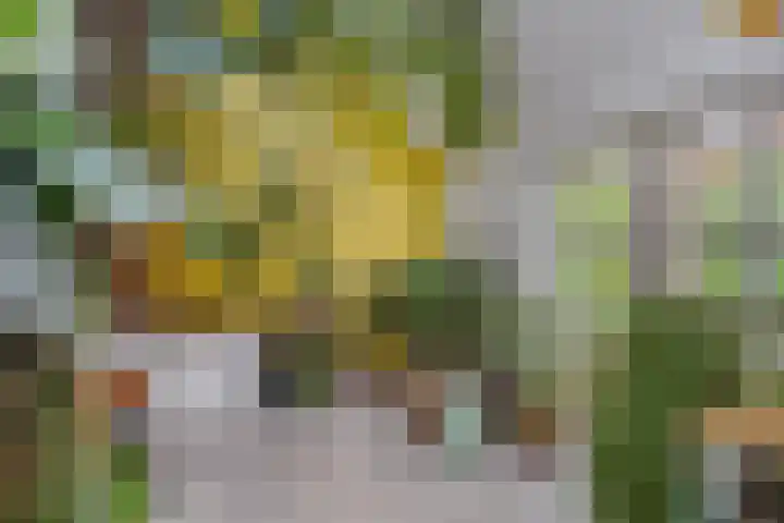 Het Klooster 3 Angerlo thumbnail 15
