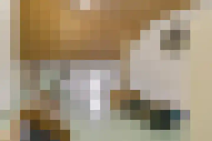 Het Klooster 3 Angerlo thumbnail 30