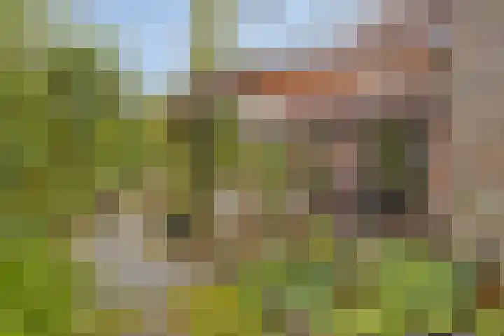 Het Klooster 3 Angerlo thumbnail 39