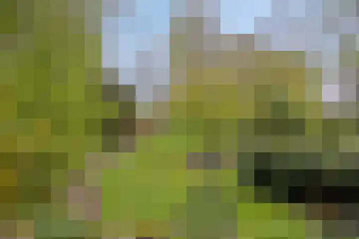 Het Klooster 3 Angerlo thumbnail 40
