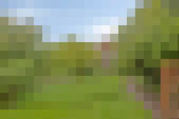 Het Klooster 3 Angerlo thumbnail 41
