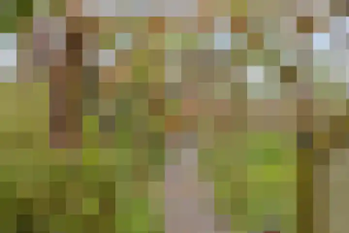 Het Klooster 3 Angerlo thumbnail 43