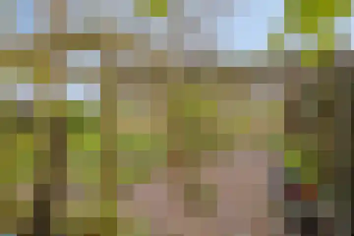 Het Klooster 3 Angerlo thumbnail 44