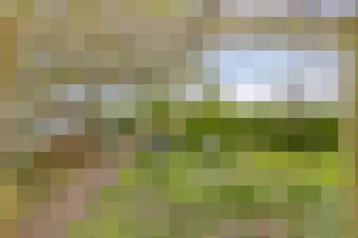 Het Klooster 3 Angerlo thumbnail 45