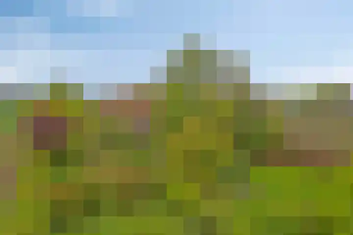 Het Klooster 3 Angerlo thumbnail 46