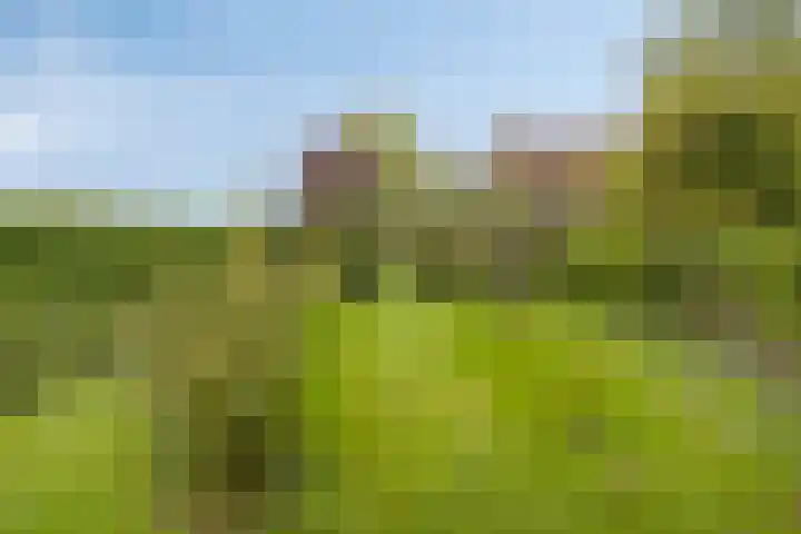 Het Klooster 3 Angerlo thumbnail 47