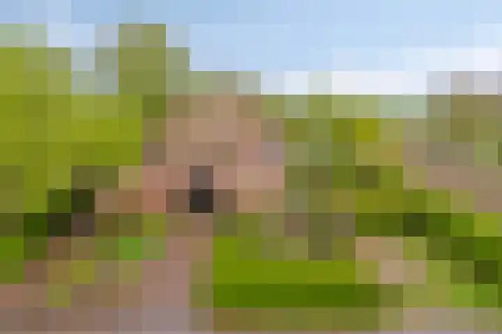 Het Klooster 3 Angerlo thumbnail 50