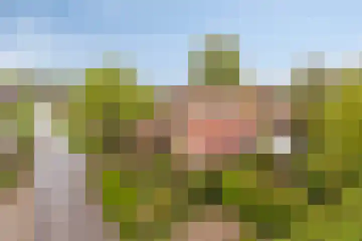 Het Klooster 3 Angerlo thumbnail 51