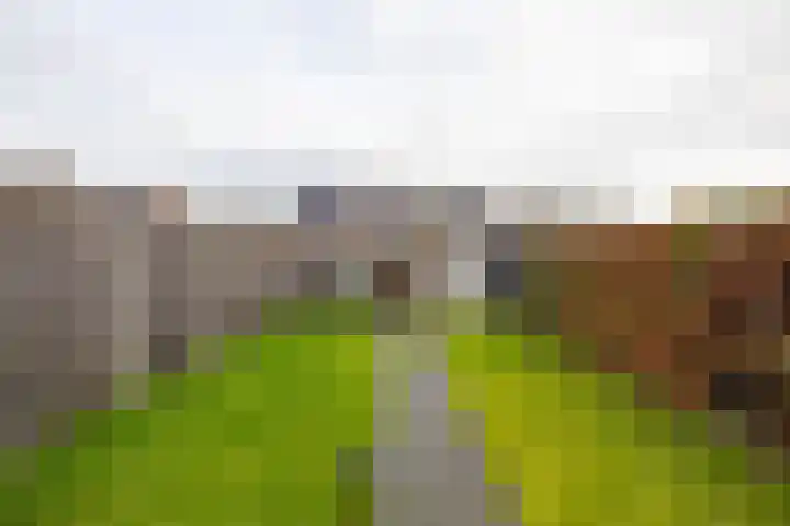 het Koetshuis 38 Tolbert thumbnail 26