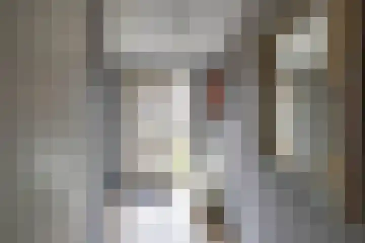het Koetshuis 38 Tolbert thumbnail 4