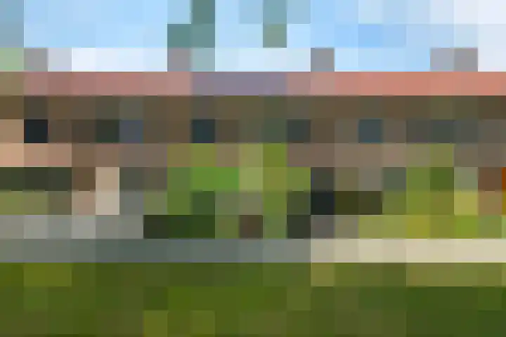 Het Kompas 50 en Dronten