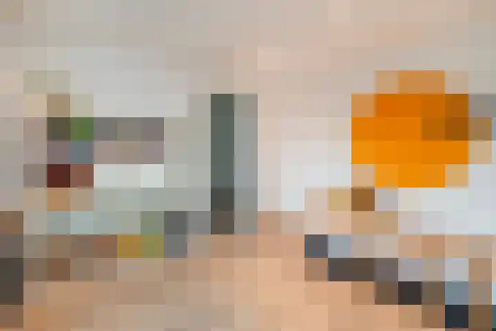 Het Kompas 50 Dronten thumbnail 15