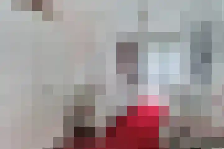 Het Kompas 50 Dronten thumbnail 18