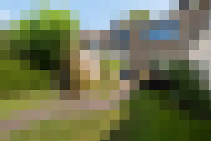 Het Kompas 50 Dronten foto 2