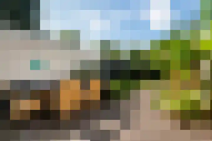 Het Kompas 50 Dronten thumbnail 21