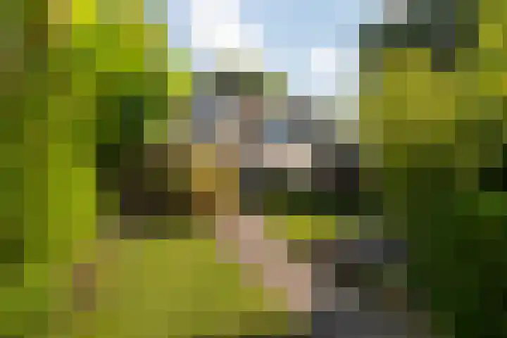 Het Kompas 50 Dronten thumbnail 22