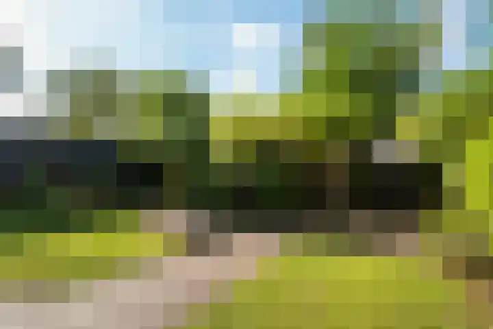 Het Kompas 50 Dronten thumbnail 23