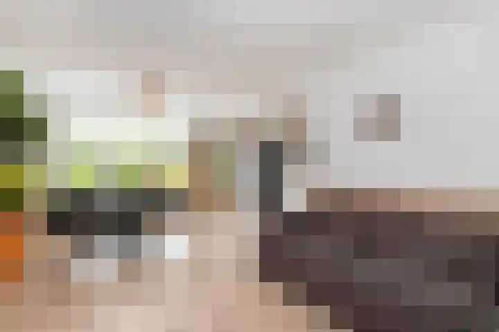 Het Kompas 50 Dronten foto 3