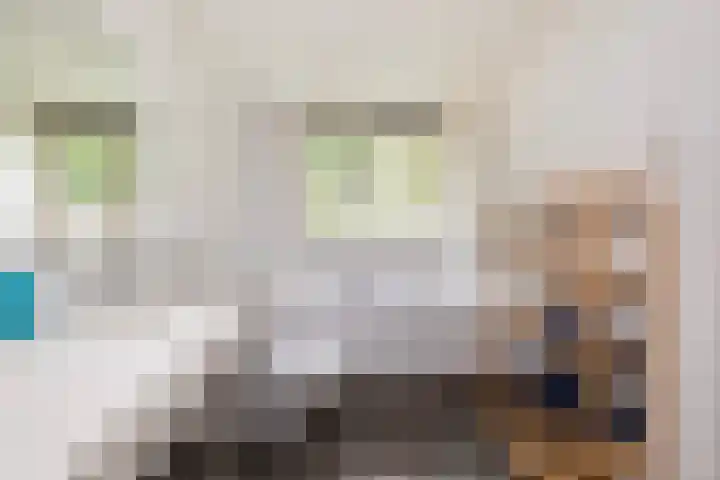 Het Kompas 50 Dronten thumbnail 4