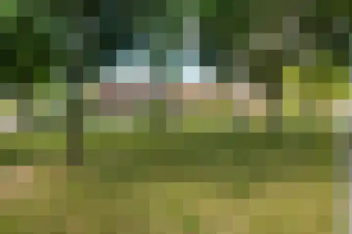 Het Kompas 50 Dronten thumbnail 5