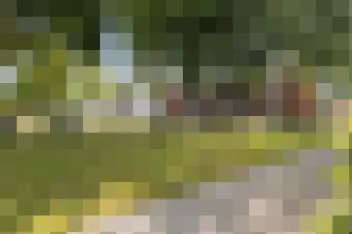 Het Kompas 50 Dronten thumbnail 6