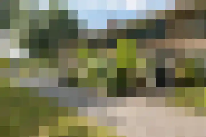 Het Kompas 50 Dronten thumbnail 7