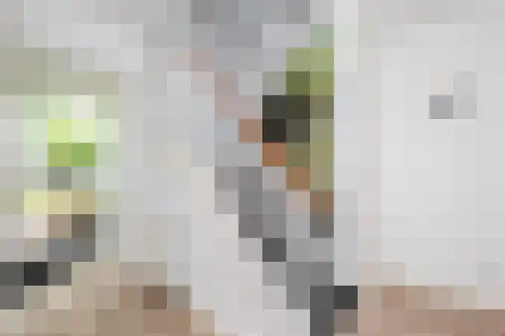 Het Kompas 50 Dronten thumbnail 8