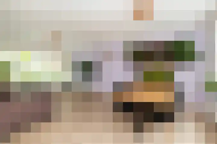 Het Kompas 50 Dronten thumbnail 9