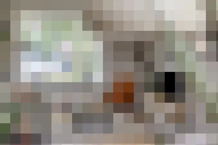 Het Kompas 8 Dronten thumbnail 12