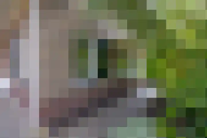 Het Kompas 8 Dronten thumbnail 14