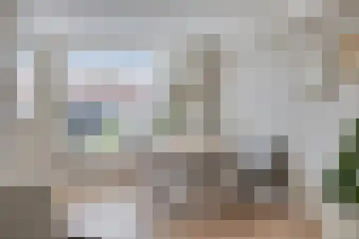 Het Kompas 8 Dronten thumbnail 14