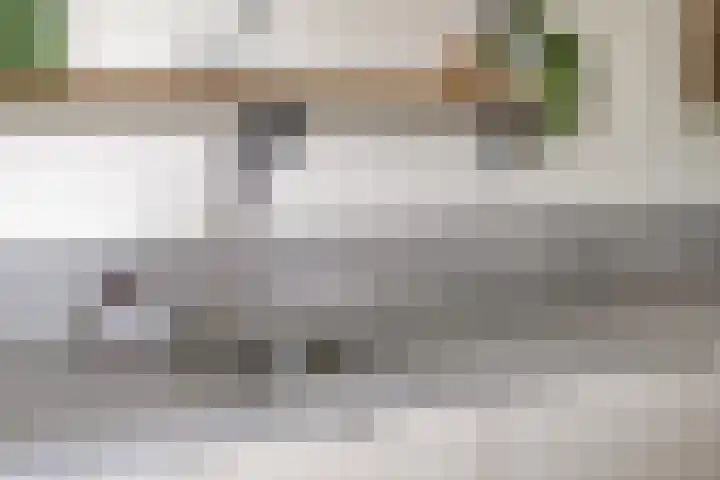 Het Kompas 8 Dronten thumbnail 17