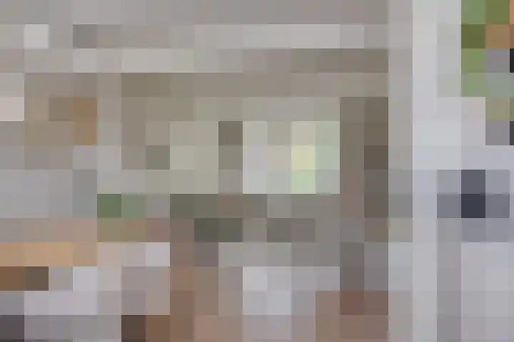 Het Kompas 8 Dronten thumbnail 19