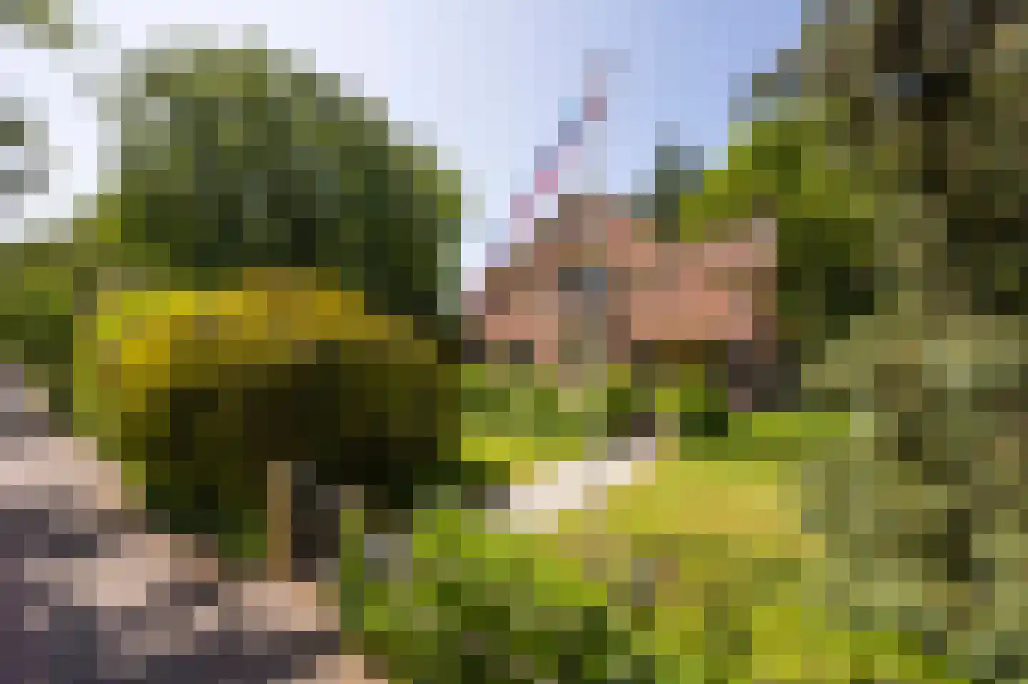 Het Kompas 8 Dronten foto 2