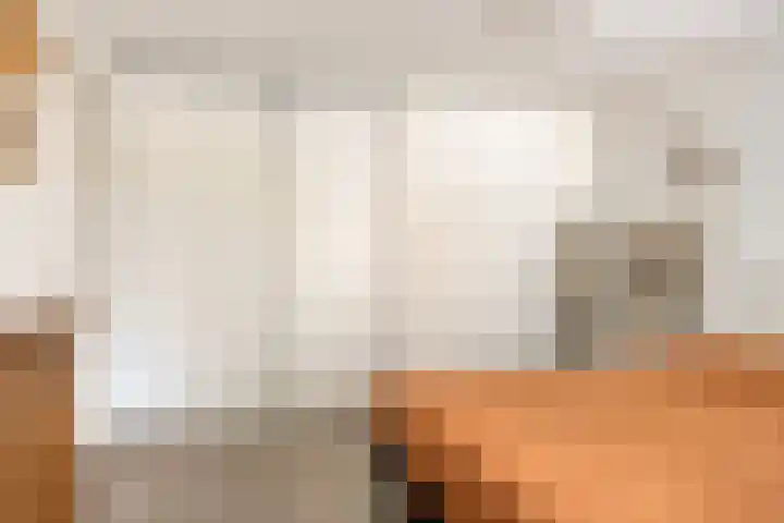 Het Kompas 8 Dronten thumbnail 24
