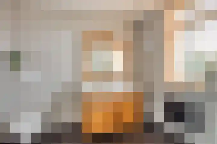 Het Kompas 8 Dronten thumbnail 27