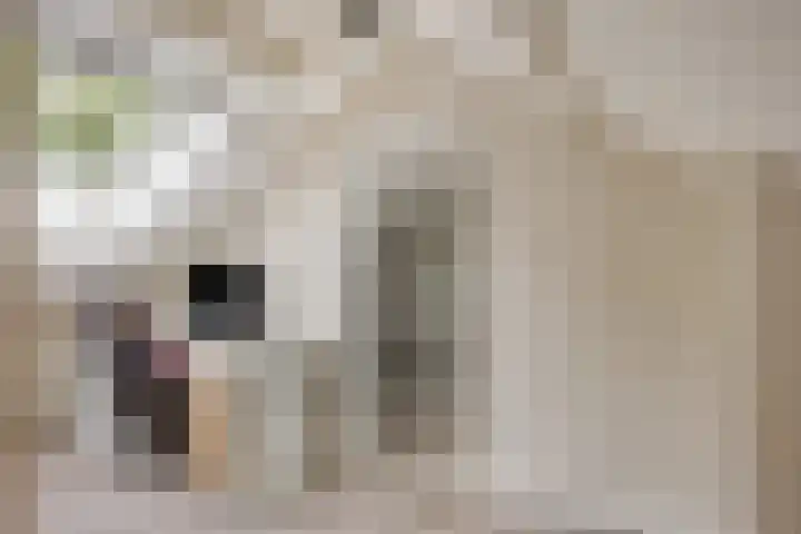 Het Kompas 8 Dronten thumbnail 32