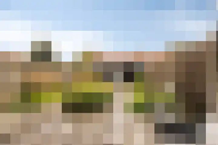 Het Kompas 8 Dronten thumbnail 34