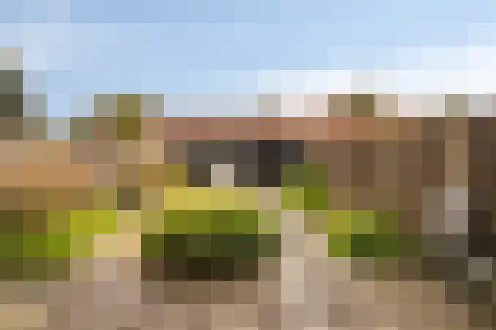 Het Kompas 8 Dronten thumbnail 35