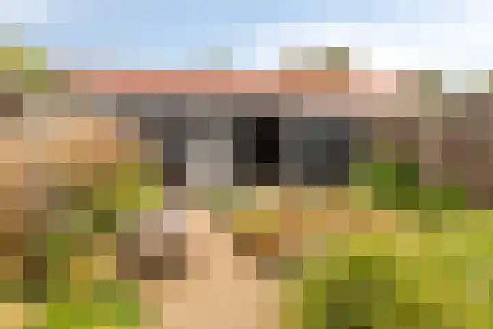 Het Kompas 8 Dronten thumbnail 36