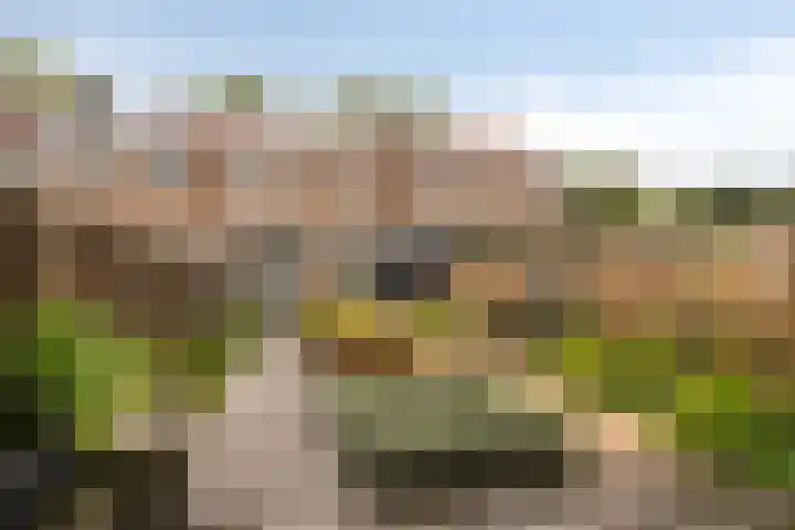 Het Kompas 8 Dronten thumbnail 37