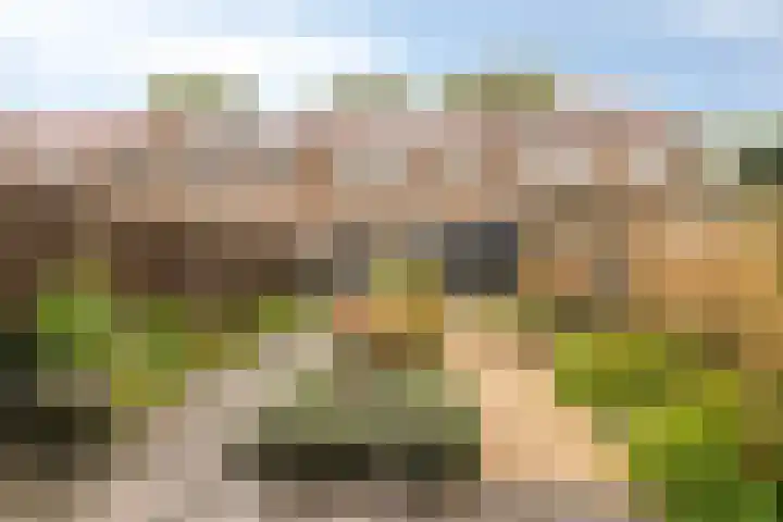 Het Kompas 8 Dronten thumbnail 38