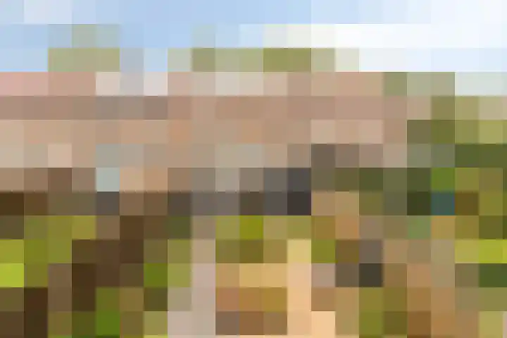 Het Kompas 8 Dronten thumbnail 39