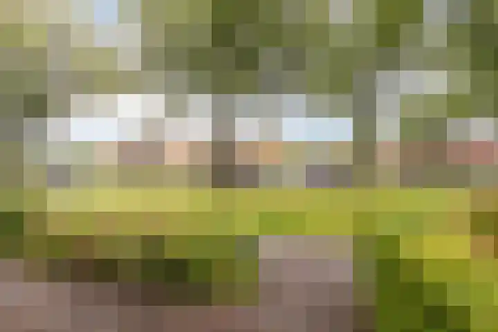 Het Kompas 8 Dronten thumbnail 40