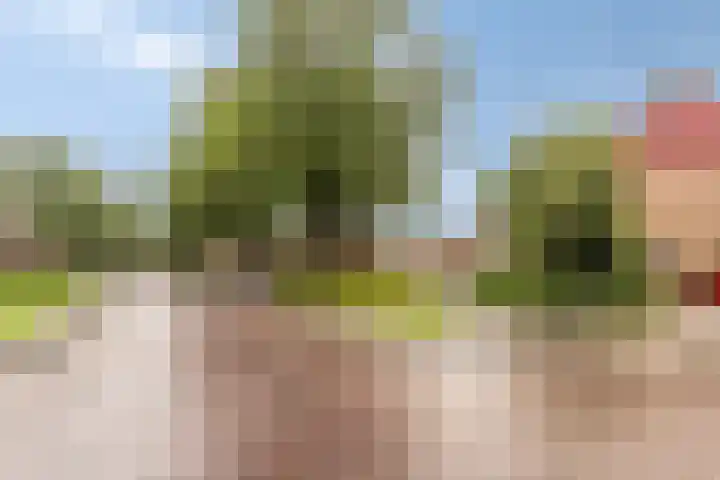 Het Kompas 8 Dronten thumbnail 41