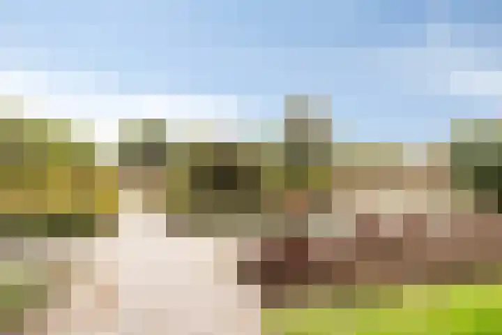 Het Kompas 8 Dronten thumbnail 42