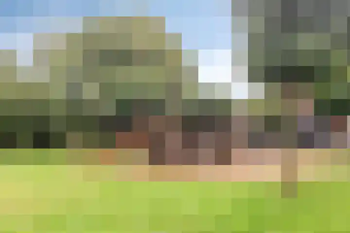 Het Kompas 8 Dronten thumbnail 43