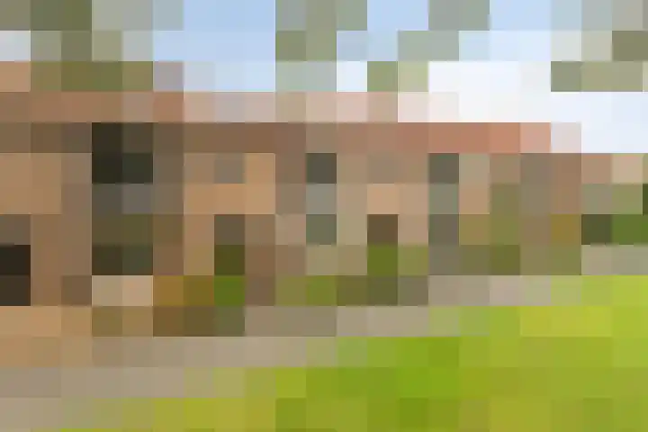 Het Kompas 8 Dronten thumbnail 45