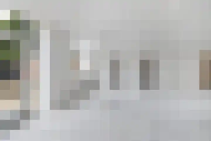 Het Kompas 8 Dronten thumbnail 47